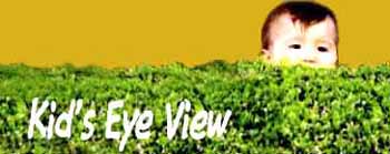 Click here to get a Kid's Eye View of the Castle