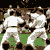 Karate demonstration at the 1987 fete