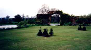 New yew on the south lawn