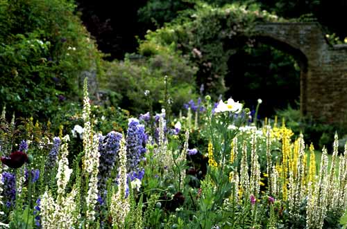 Broughton Castle gardens