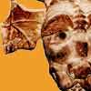 Click here to play Gargoyle Soup Puzzle 1