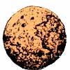 Cannon ball
